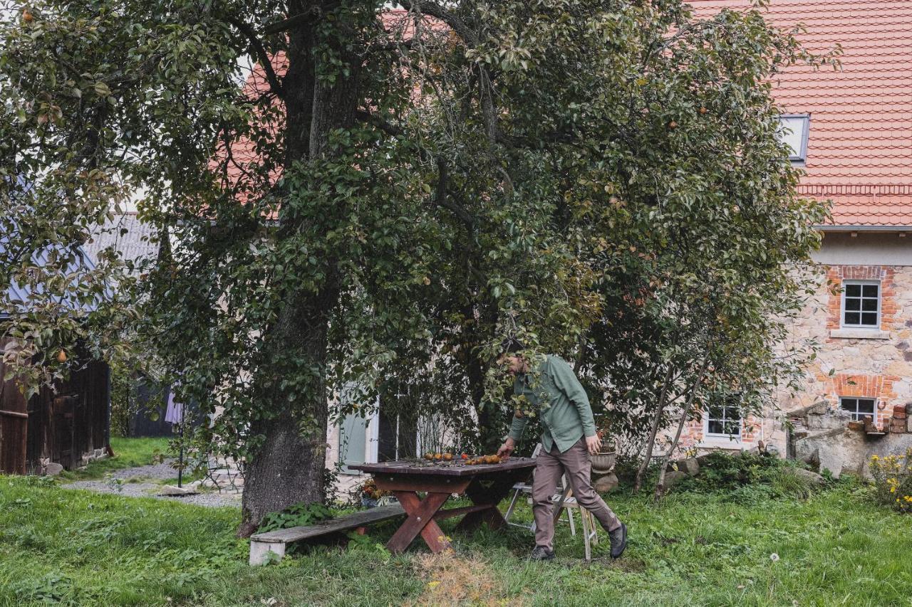 Dwie Brzozy Wegetarianskie Siedlisko Wlen Экстерьер фото