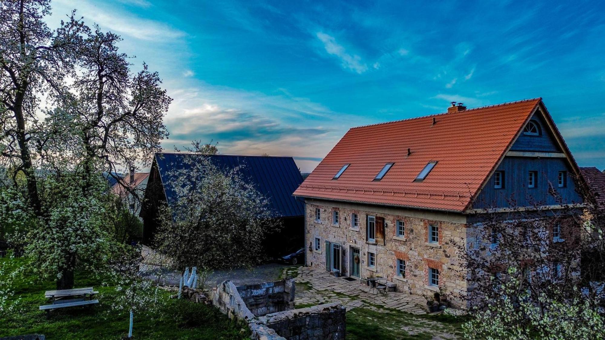 Dwie Brzozy Wegetarianskie Siedlisko Wlen Экстерьер фото